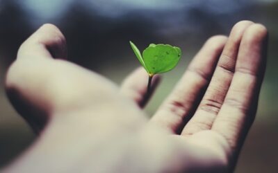 Enhancing business sustainability: the importance of ESG advisory services
